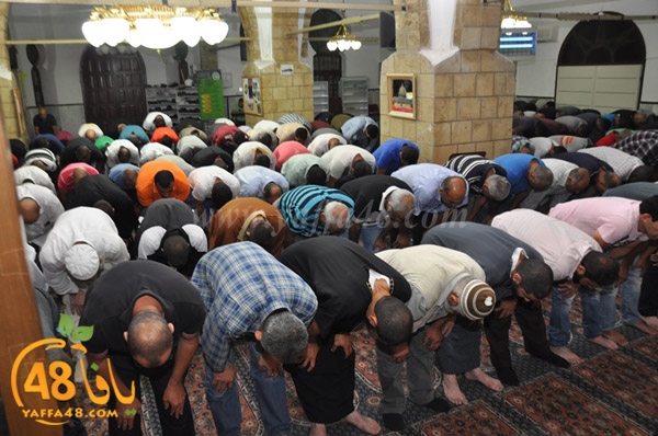 7san bek jsh (8).JPG